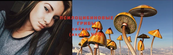 СК Заводоуковск