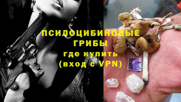дживик Заволжье