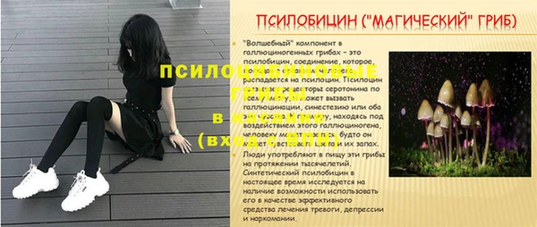 дживик Заволжье
