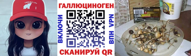 даркнет телеграм  Обнинск  Галлюциногенные грибы Cubensis 