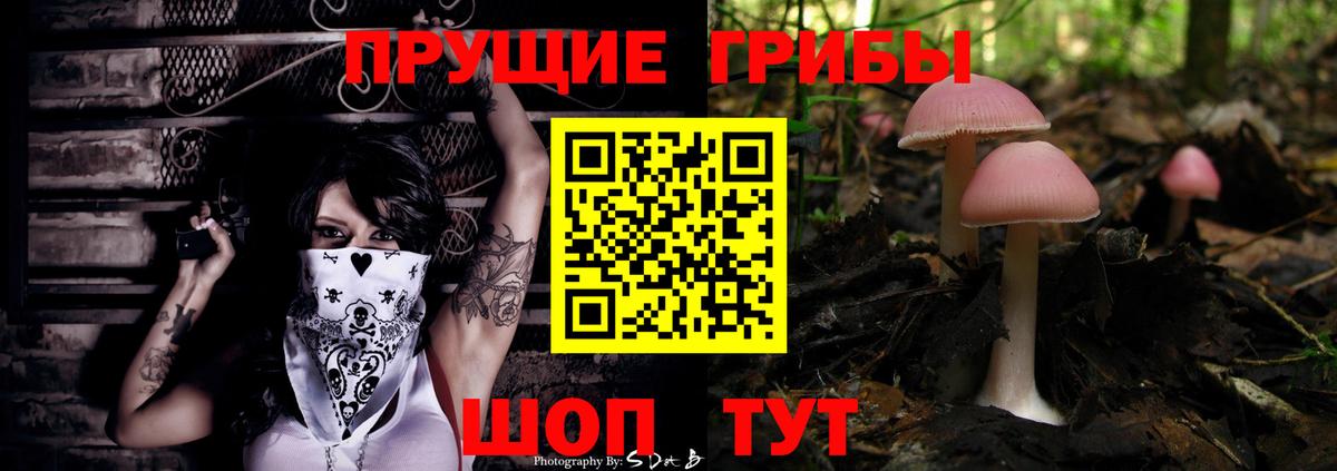 Обнинск  Галлюциногенные грибы Psilocybe  Вход с VPN  Псилоцибиновые грибы прущие грибы 